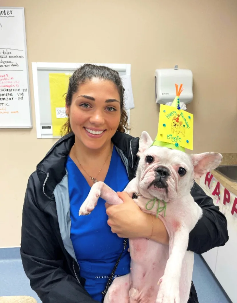 A photo of Emily Gonzalez with a French Bulldog